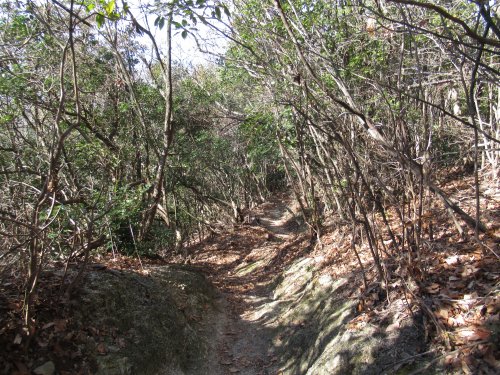 登山道